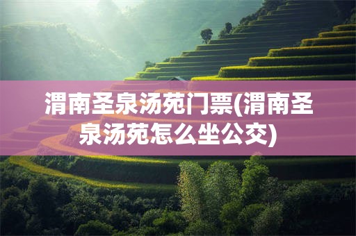 渭南圣泉汤苑门票(渭南圣泉汤苑怎么坐公交)
