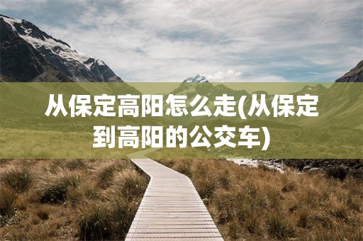 从保定高阳怎么走(从保定到高阳的公交车)