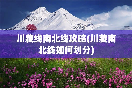 川藏线南北线攻略(川藏南北线如何划分)
