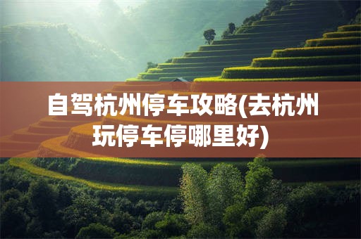 自驾杭州停车攻略(去杭州玩停车停哪里好)