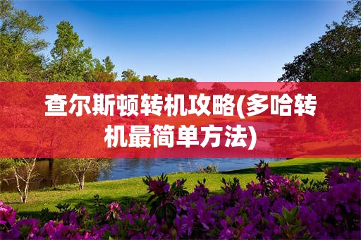 查尔斯顿转机攻略(多哈转机最简单方法)