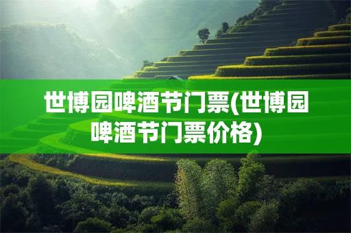 世博园啤酒节门票(世博园啤酒节门票价格)