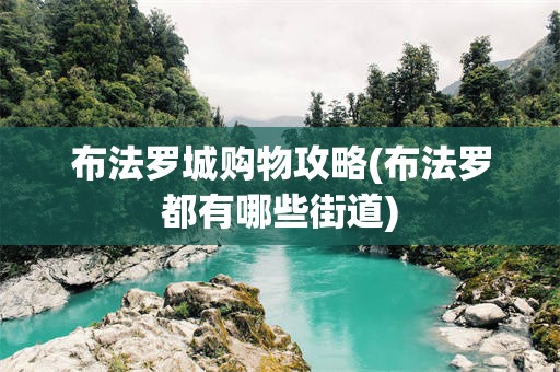 布法罗城购物攻略(布法罗都有哪些街道)