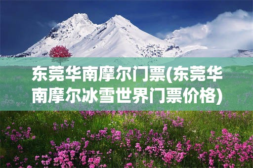 东莞华南摩尔门票(东莞华南摩尔冰雪世界门票价格)