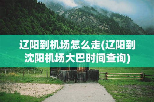 辽阳到机场怎么走(辽阳到沈阳机场大巴时间查询)