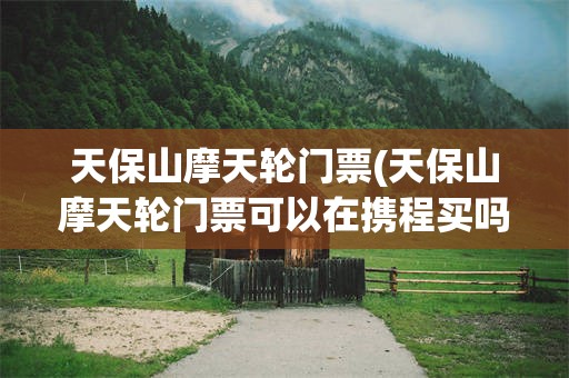 天保山摩天轮门票(天保山摩天轮门票可以在携程买吗)