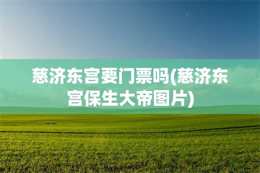 慈济东宫要门票吗(慈济东宫保生大帝图片)