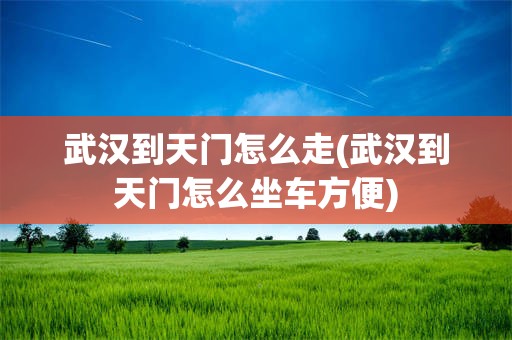 武汉到天门怎么走(武汉到天门怎么坐车方便)