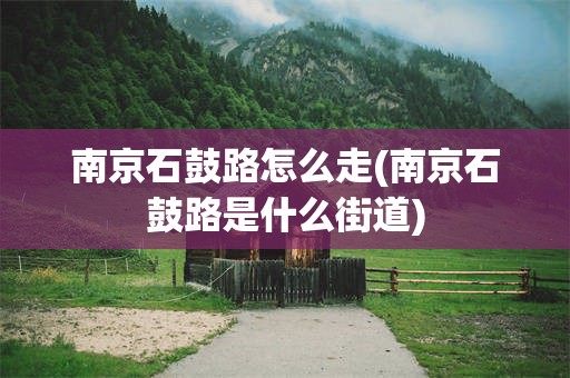 南京石鼓路怎么走(南京石鼓路是什么街道)