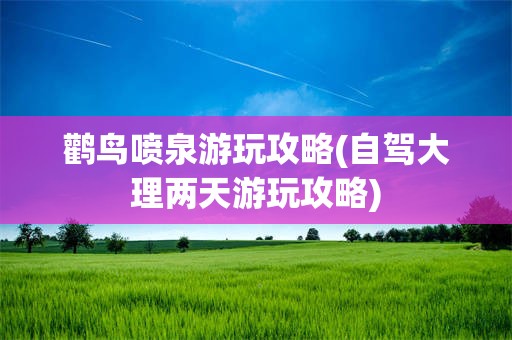 鹳鸟喷泉游玩攻略(自驾大理两天游玩攻略)