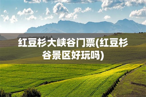红豆杉大峡谷门票(红豆杉谷景区好玩吗)