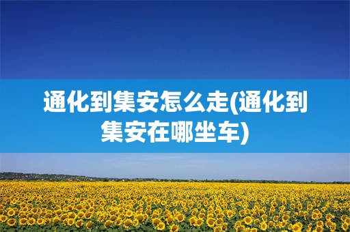 通化到集安怎么走(通化到集安在哪坐车)