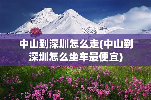 中山到深圳怎么走(中山到深圳怎么坐车最便宜)
