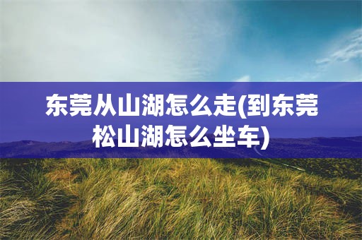 东莞从山湖怎么走(到东莞松山湖怎么坐车)