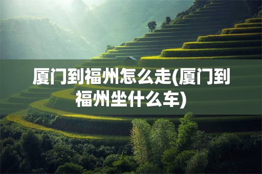 厦门到福州怎么走(厦门到福州坐什么车)