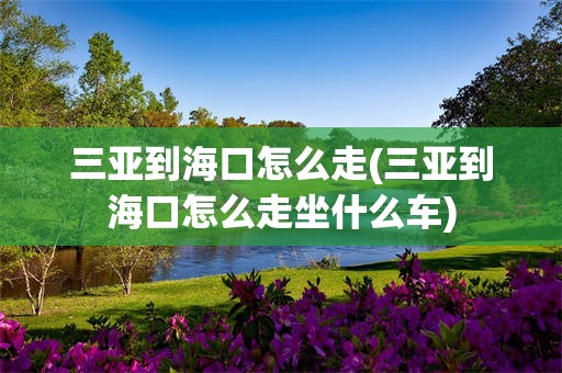 三亚到海口怎么走(三亚到海口怎么走坐什么车)