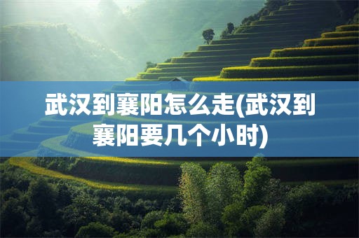 武汉到襄阳怎么走(武汉到襄阳要几个小时)