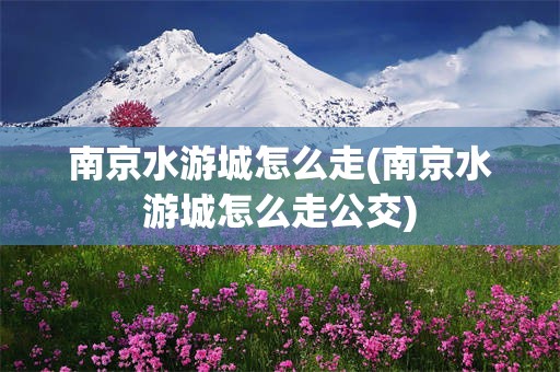 南京水游城怎么走(南京水游城怎么走公交)