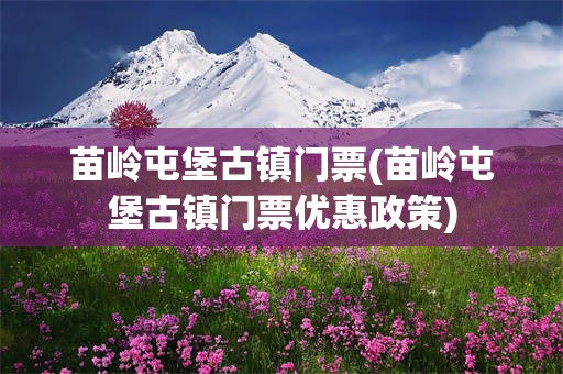 苗岭屯堡古镇门票(苗岭屯堡古镇门票优惠政策)