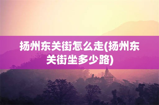 扬州东关街怎么走(扬州东关街坐多少路)