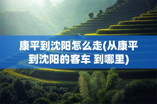 康平到沈阳怎么走(从康平到沈阳的客车 到哪里)