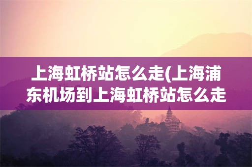 上海虹桥站怎么走(上海浦东机场到上海虹桥站怎么走)