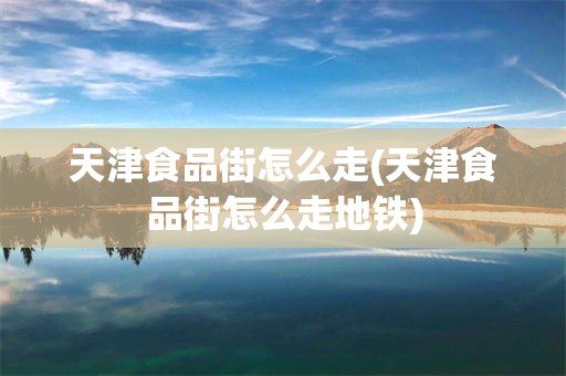 天津食品街怎么走(天津食品街怎么走地铁)