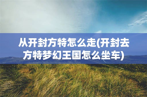 从开封方特怎么走(开封去方特梦幻王国怎么坐车)
