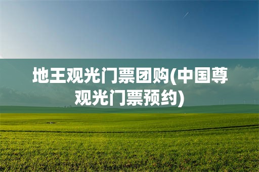 地王观光门票团购(中国尊观光门票预约)