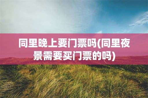 同里晚上要门票吗(同里夜景需要买门票的吗)