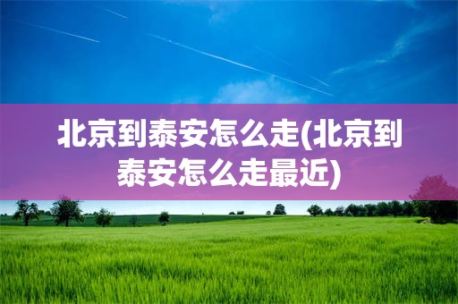 北京到泰安怎么走(北京到泰安怎么走最近)