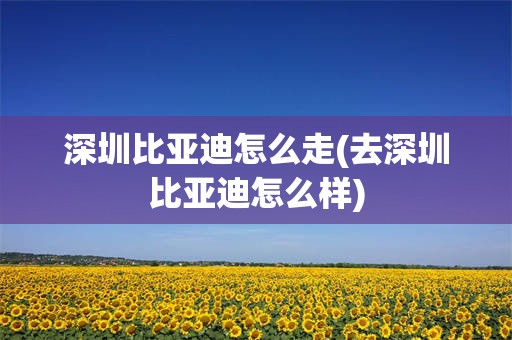 深圳比亚迪怎么走(去深圳比亚迪怎么样)