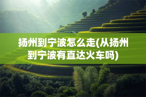 扬州到宁波怎么走(从扬州到宁波有直达火车吗)