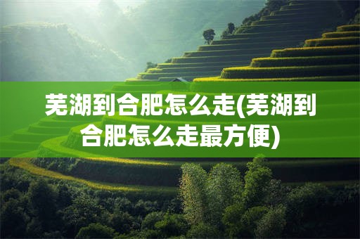 芜湖到合肥怎么走(芜湖到合肥怎么走最方便)