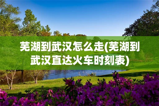 芜湖到武汉怎么走(芜湖到武汉直达火车时刻表)