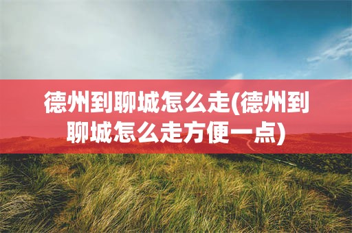 德州到聊城怎么走(德州到聊城怎么走方便一点)