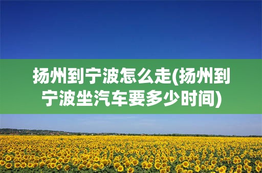 扬州到宁波怎么走(扬州到宁波坐汽车要多少时间)