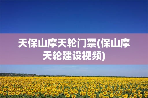 天保山摩天轮门票(保山摩天轮建设视频)