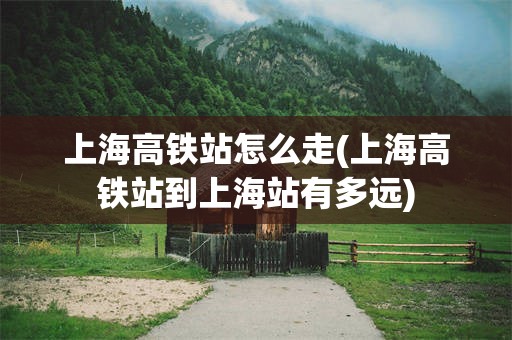 上海高铁站怎么走(上海高铁站到上海站有多远)