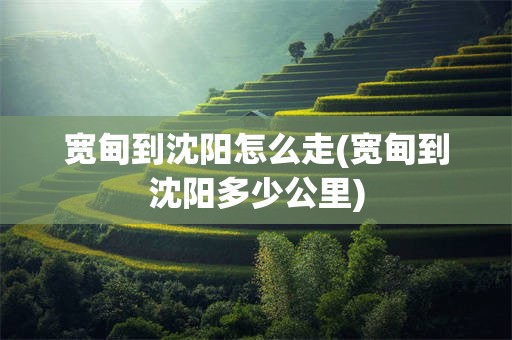 宽甸到沈阳怎么走(宽甸到沈阳多少公里)