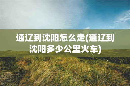 通辽到沈阳怎么走(通辽到沈阳多少公里火车)
