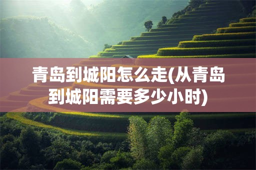 青岛到城阳怎么走(从青岛到城阳需要多少小时)