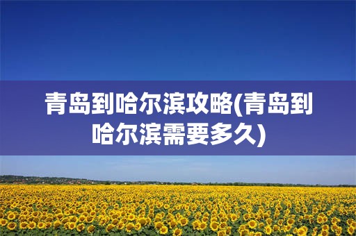 青岛到哈尔滨攻略(青岛到哈尔滨需要多久)