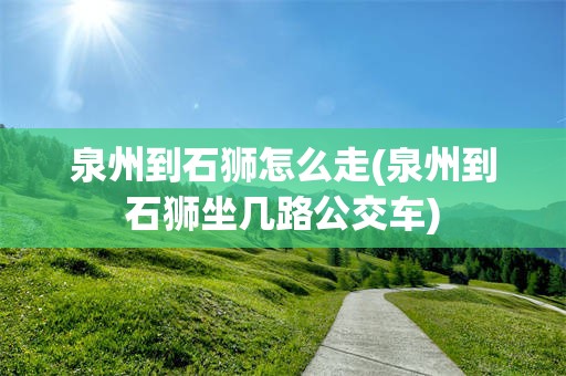 泉州到石狮怎么走(泉州到石狮坐几路公交车)