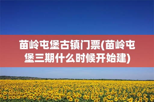苗岭屯堡古镇门票(苗岭屯堡三期什么时候开始建)