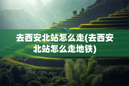 去西安北站怎么走(去西安北站怎么走地铁)