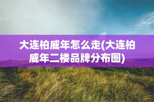 大连柏威年怎么走(大连柏威年二楼品牌分布图)
