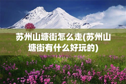 苏州山塘街怎么走(苏州山塘街有什么好玩的)