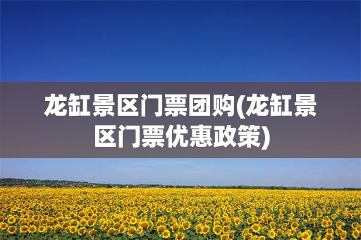 龙缸景区门票团购(龙缸景区门票优惠政策)
