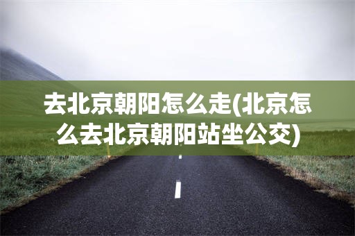 去北京朝阳怎么走(北京怎么去北京朝阳站坐公交)